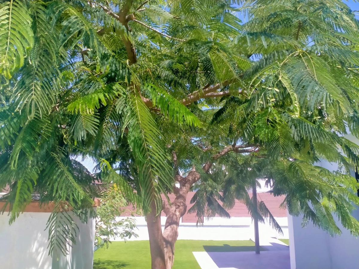 Bungalow Colorado With Garden #4 San Bartolomé المظهر الخارجي الصورة